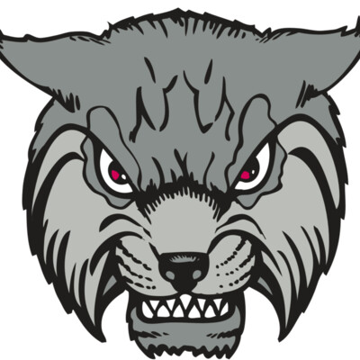 BAW BOBCAT 02 RC Thumbnail
