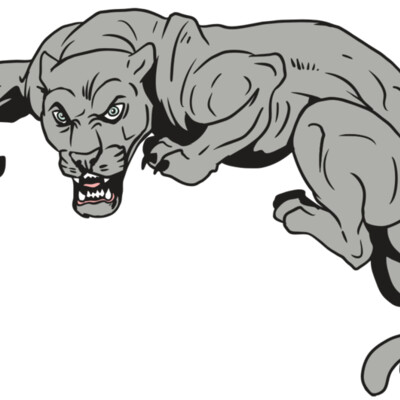 AR10 PANTHER 02 RQC Thumbnail