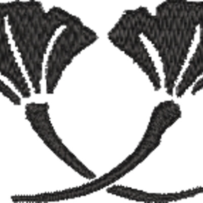 NZ541 Thumbnail