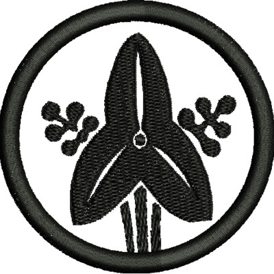 NZ559 Thumbnail