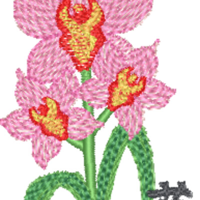 FP335 Thumbnail