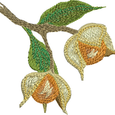 NA298 Thumbnail